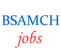Teaching Jobs in Ambedkar Medical College Hospital Delhi