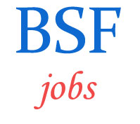 Constable Sports quota Jobs in BSF