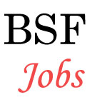 Junior Engineer and Sub-Inspector Jobs in BSF