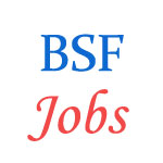 14 posts of  Constable (Daftry) in Directorate General Border Security Force (BSF)
