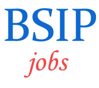 Scientist-B Jobs Birbal Sahni Institute