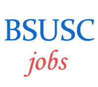 Assistant Professor Jobs in BSUSC 