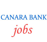 Specialist Officer Jobs in Canara Bank