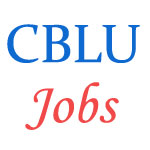 CBLU Administrative Secretarial and Ministerial jobs