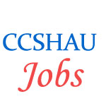 Teaching and non-Teaching Jobs in CCSHAU
