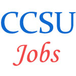 Various professor Jobs in Chaudhary Charan Singh University (CCSU)