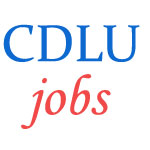 Teaching Jobs in Chaudhary Devi Lal University
