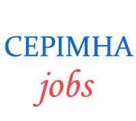 Contract Jobs in CEPI MHA