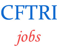Technical Assistants Jobs in CFTRI