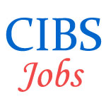 Teaching Jobs in Central Institute of Buddhist Studies (CIBS)