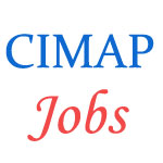 CIMAP - Technical and Administrative Jobs