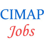 Various Jobs in Central Institute of Medicinal and Aromatic Plants (CIMAP)