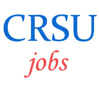 Professor Teaching Jobs in CRSU