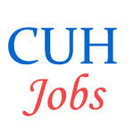 Non-Teaching Jobs in CUH