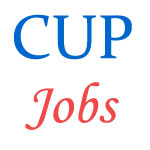 Teaching Jobs in Central University of Punjab