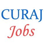 Various Jobs in Central University of Rajasthan (CURAJ)
