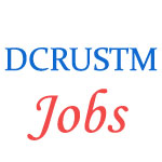 Assistant Professor Jobs in DCRUSTM Haryana