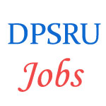 DPSRU - Faculty and Library job