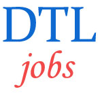 Manager Finance Jobs in Delhi Transco Limited