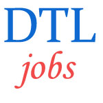 Manager Finance Jobs in Delhi Transco Limited