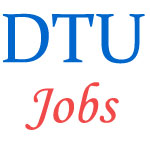 Stenographers Jobs in DTU