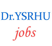 Assistant Professors Jobs in Dr. YSR Horticultural University