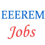 Delhi Government EEEREM vacancy