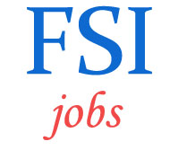 Project Associates Jobs in FSI