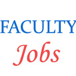 Various Faculty Jobs in SNDT WOMEN'S UNIVERSITY 