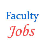 Various Faculty Jobs in Utkal University 