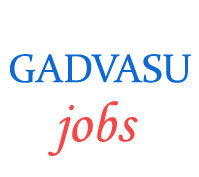 Guru Angad Dev Veterinary & Animal Sciences University (GADVASU) Jobs