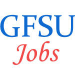 Teaching Jobs in Gujarat Forensic Sciences University