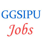 Teaching Jobs in  GGS IPU