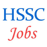 Skill Development Jobs by Haryana SSC