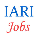 21 posts of Lower Division Clerk (LDC) in Indian Agricultural Research Institute (IARI)