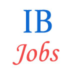 Interpreter Jobs in Intelligence Bureau