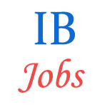 Intelligence Bureau jobs of Security Assistants