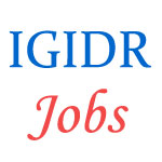 Assistant Professors Jobs in IGIDR