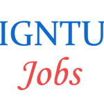 Various Jobs in Indira Gandhi National Tribal University (IGNTU)