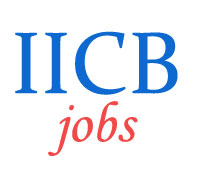 Scientist Jobs in Indian Institute of Chemical Biology (IICB)