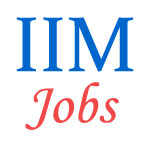 Teaching Jobs in IIM 