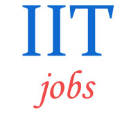 Assistant Professor Teaching Jobs in IIT