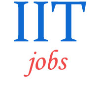 Teaching Jobs in IIT