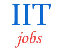 Teaching Jobs in IIT
