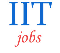 Associate/Assistant Professors Jobs in IIT 