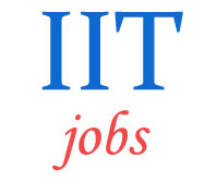 Non-Teaching Jobs in IIT