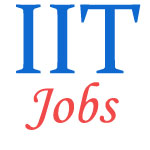 Non-Teaching Jobs in IIT