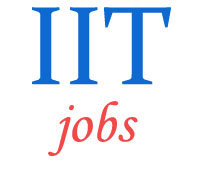 Engineer Jobs in IIT