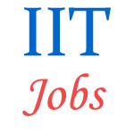 Indian Institute of Technology (IIT) Jobs