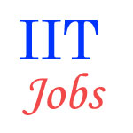 Off shore Teaching Jobs in IIT